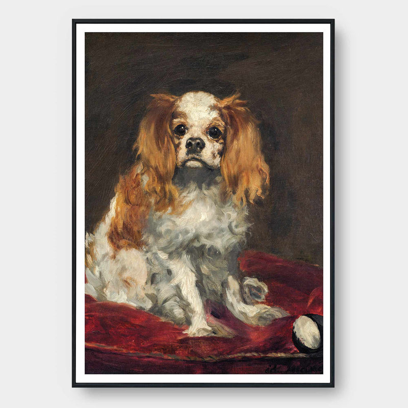 A King Charles Spaniel