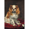 A King Charles Spaniel