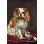 A King Charles Spaniel