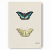 Watercolor Butterfly Science Poster