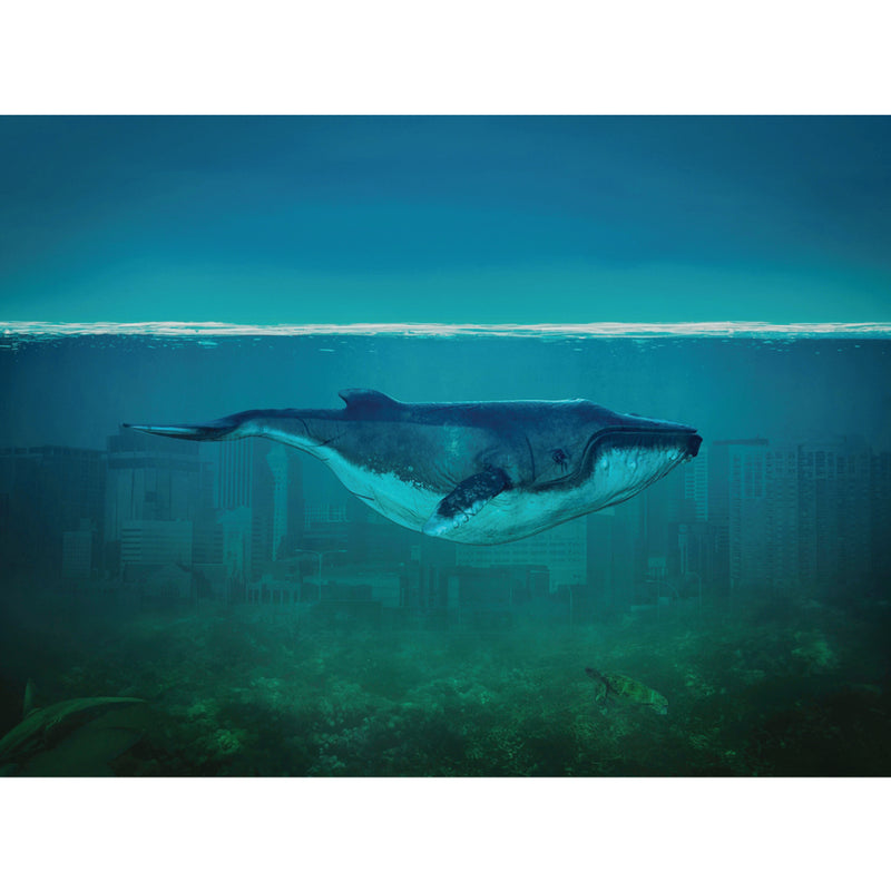 Whale in an Underwater City